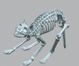 Halloween Crafts Skeleton Cat